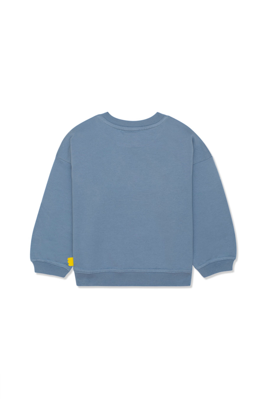 Rawr Kid Summer Sweatshirt Faded Denim