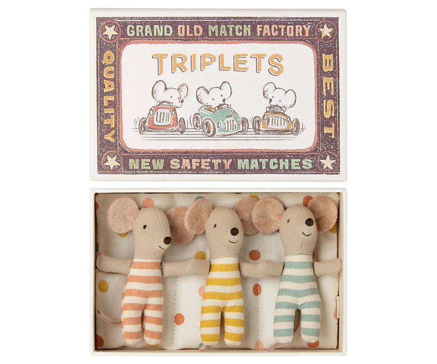 Triplets, Baby mice in matchbox