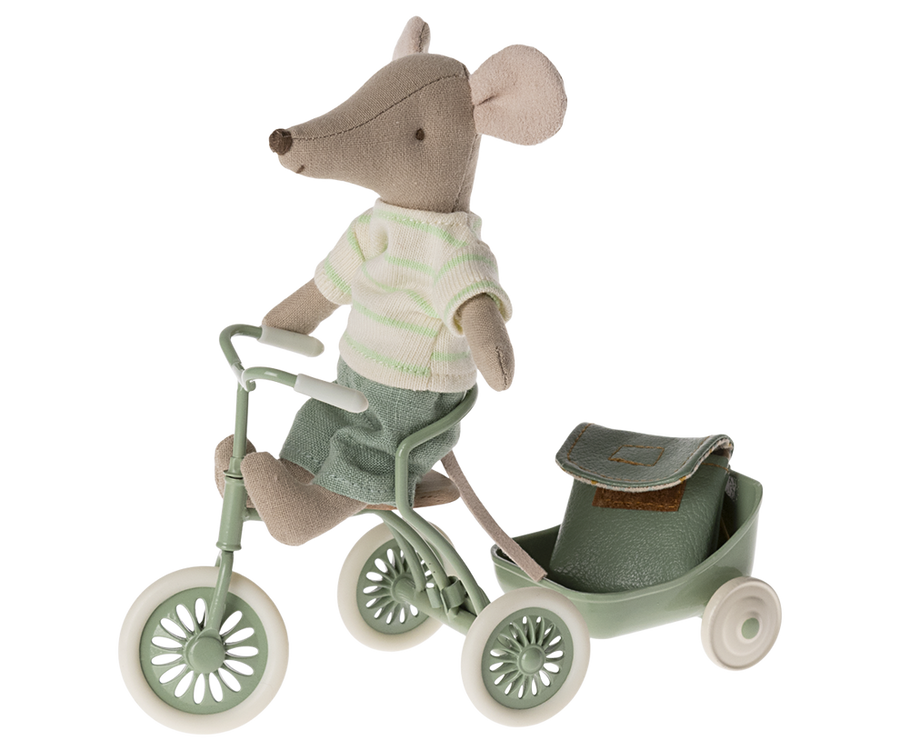 Tricycle mouse, Big brother