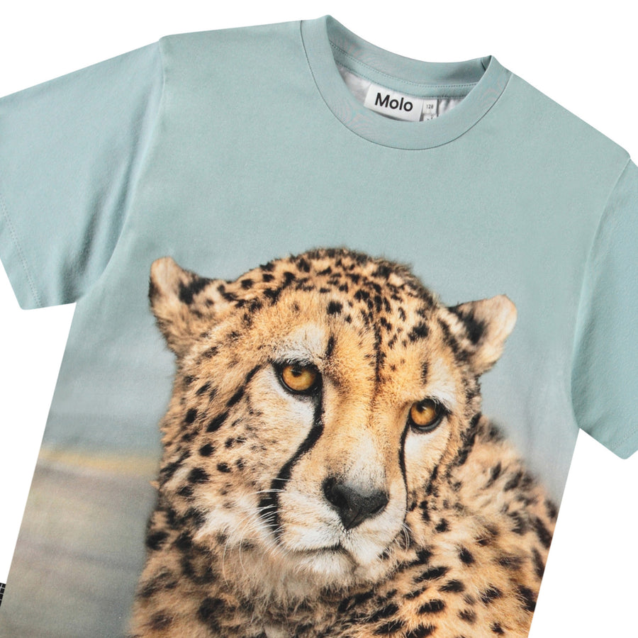 T-shirts Short sleeves Rubin Big Cheetah Blue