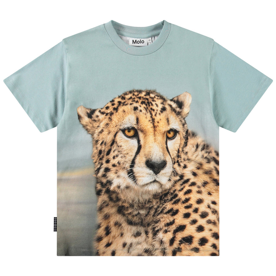 T-shirts Short sleeves Rubin Big Cheetah Blue
