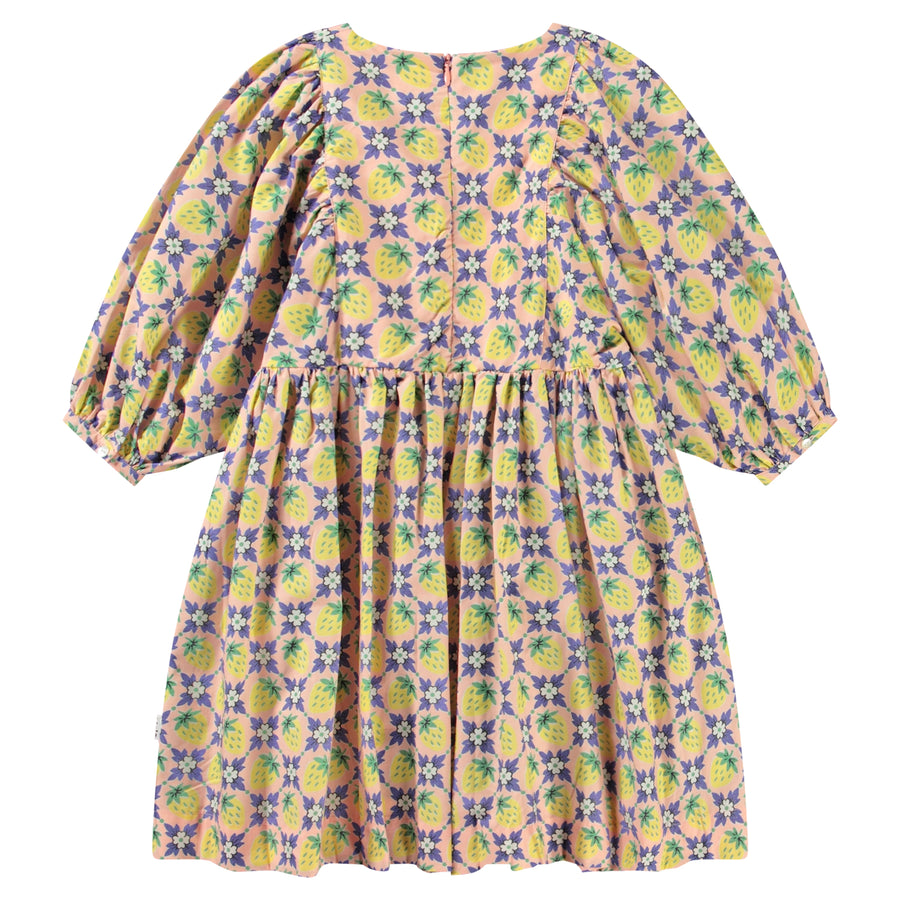 Dress Caio Vintage Berries
