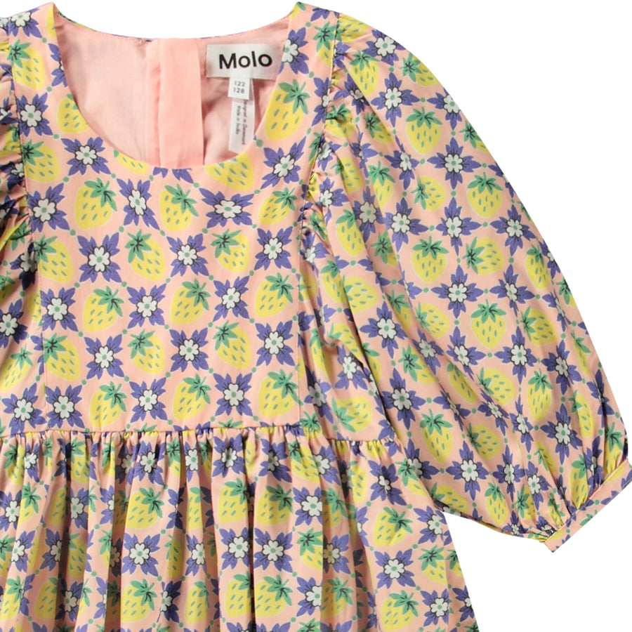 Dress Caio Vintage Berries