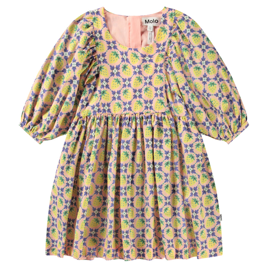 Dress Caio Vintage Berries