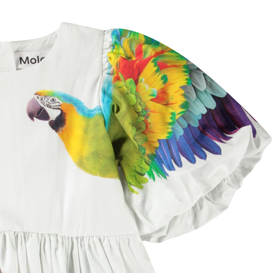 Dress Chica In the Jungle