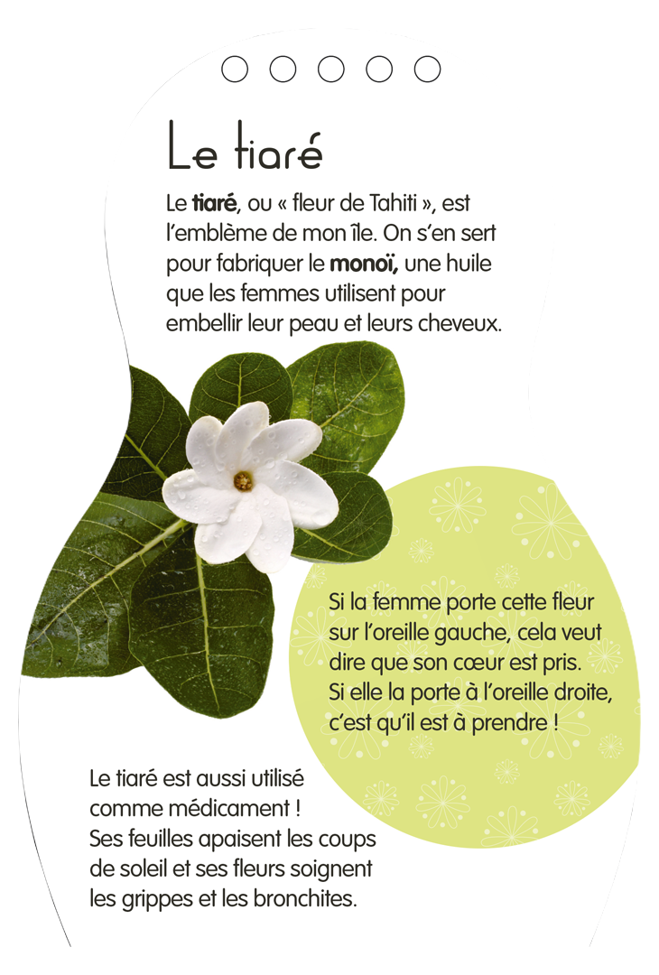 Minimiki – Carnet créatif – Mohea à Tahiti nouvelle édition