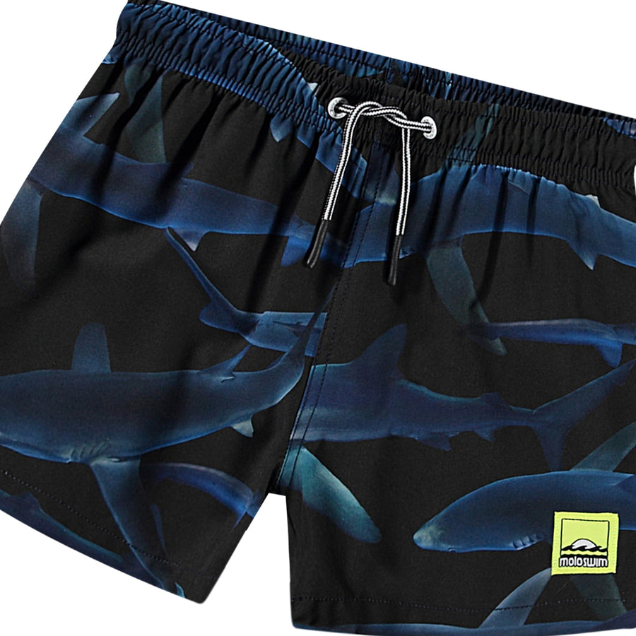 Boardies Niko Midnight Sharks