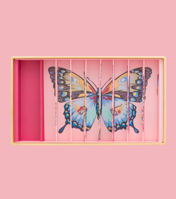 Box Butterflies Anamorphic