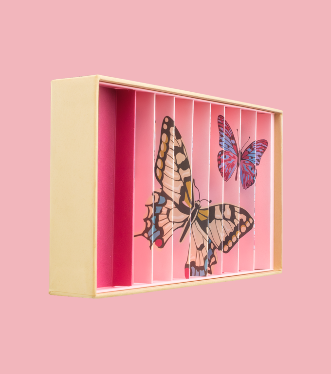 Box Butterflies Anamorphic