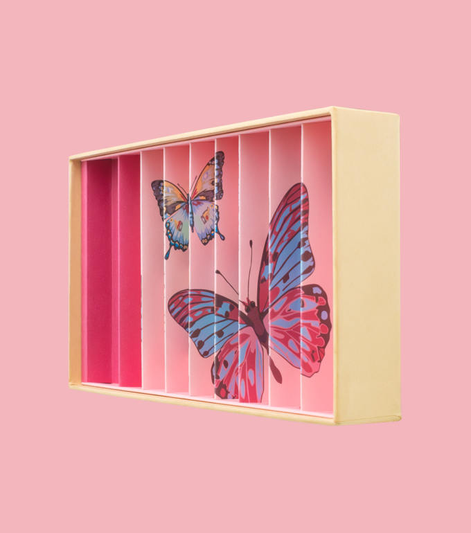 Box Butterflies Anamorphic