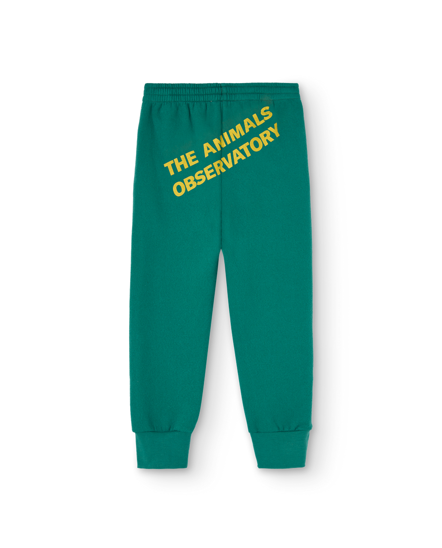Panther Kids Pants Green