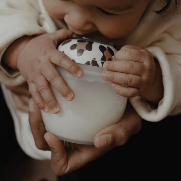 Baby bottle 240 ml Medium Flow Graouuu