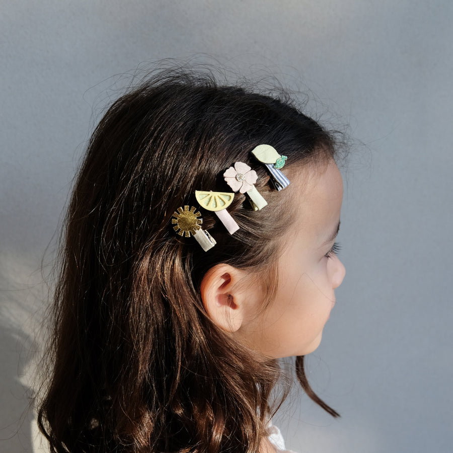 Amalfi Mini Clips
