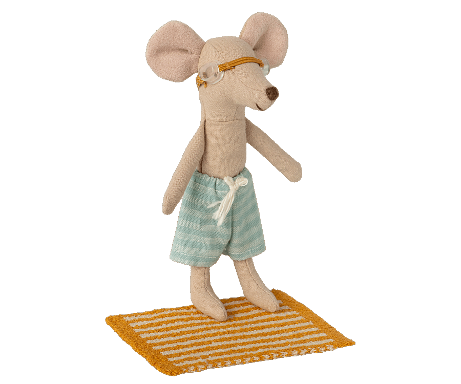 Beach set for big brother mouse