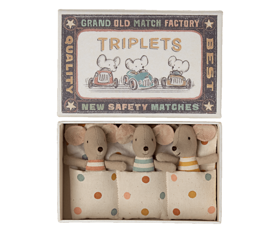 Triplets, Baby mice in matchbox