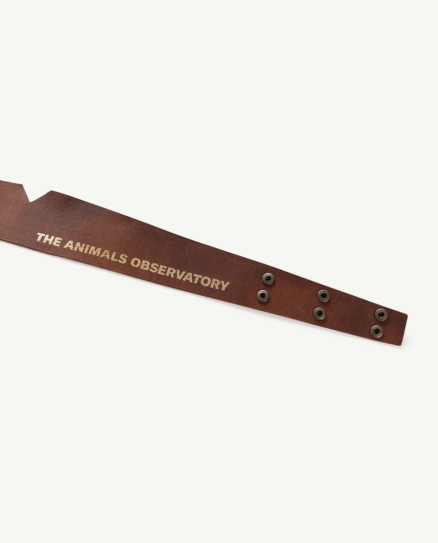 Shinny Belt Onesize Belt - Red