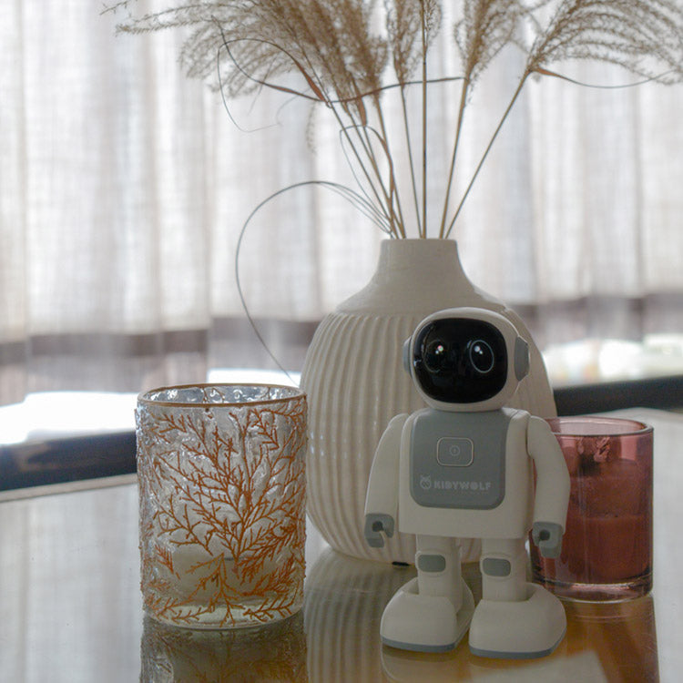 KIDYROBOT - Robot danseur