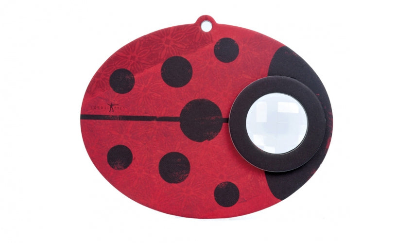 Ladybird - Insect Eye